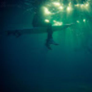 Meet your Posher, Carly